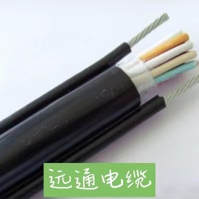 計算機(jī)控制電纜